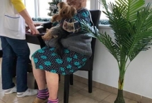 Azil Batrani Pipera Azil Batrani Pipera- Caminul de batrani Adina