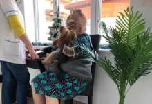 Azil Batrani Ciolpani Camin Batrani Ciolpani - Caminul Adina