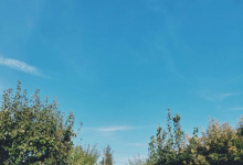 Azil Batrani Gruiu Camin Azil Batrani Gruiu - CAMINUL MIHAELA