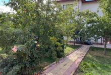 Azil Batrani Dascalu Camin Varstnici Dascalu - Camin Adina